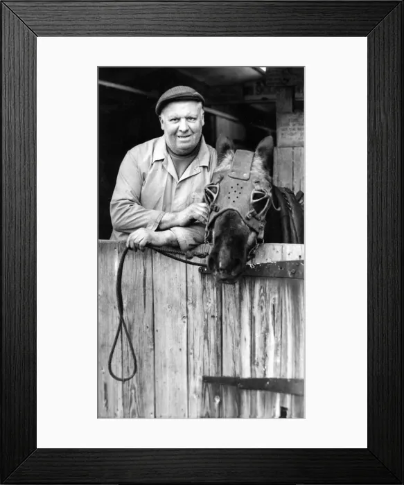 Framed Print : Pit pony keeper Jimmy Whitton with one of the ponies he looks after Framed Print : Pit pony keeper Jimmy Whitton with one of the ponies he looks after
