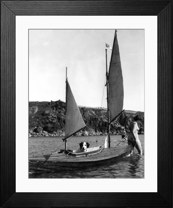 Framed Print : Bob the dog enjoys himself alone in the canoe towed along by friend Framed Print : Bob the dog enjoys himself alone in the canoe towed along by friend