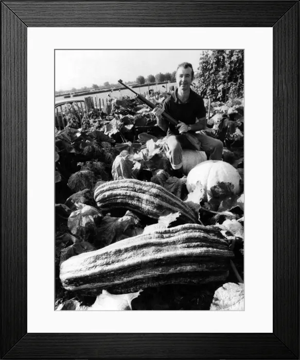 Framed Print : Beady Eyed David Payne sits astride one of his marrows, on the lookout Framed Print : Beady Eyed David Payne sits astride one of his marrows, on the lookout