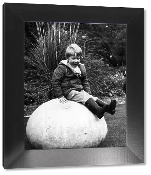 Sitting Pretty. Matthew McLean and the record-breaking pumpkin. October 1981 P006540