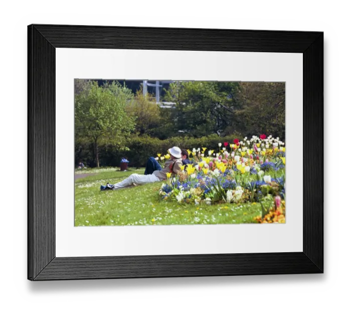 Framed Print : People sun bathing and relaxing in the Bank Holiday weather in Leazes Park
