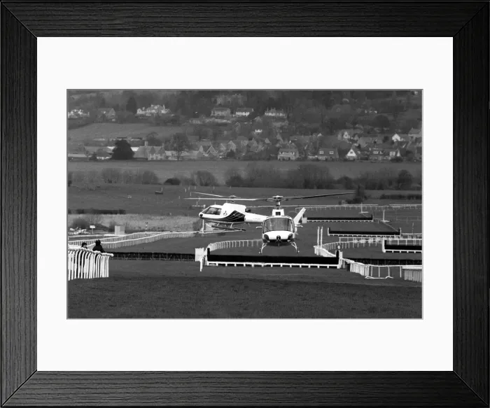 Framed Print : Here are a pair of the fastest Colts ever to race over the hallowed turf of Cheltenham