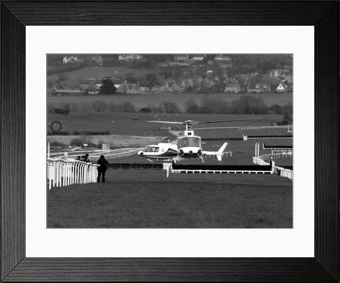 Framed Print : Here are a pair of the fastest Colts ever to race over the hallowed turf of Cheltenham