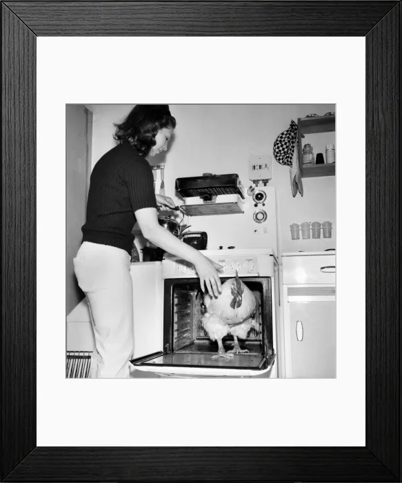Framed Print : Family pet Cockerel. 1964 C123-006