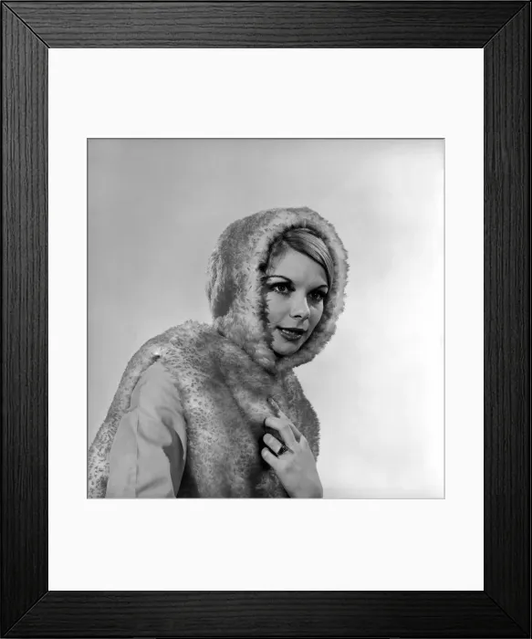Framed Print : Model Bianca Foakes seen here modeling fur coat in the Reveille Studio. 1964 Framed Print : Model Bianca Foakes seen here modeling fur coat in the Reveille Studio. 1964