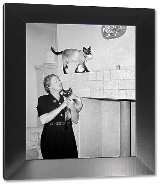 Siamese cats with their owners. 1954 A120-008