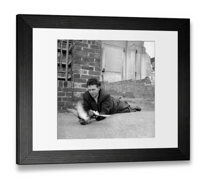 Framed Print : London pigeon catcher. January 1954 A157-007 Framed Print : London pigeon catcher. January 1954 A157-007