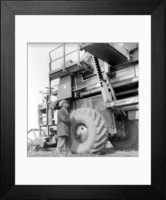 Framed Print : Farming: Ross Pea picking machine. 1964 A1201-003 Framed Print : Farming: Ross Pea picking machine. 1964 A1201-003