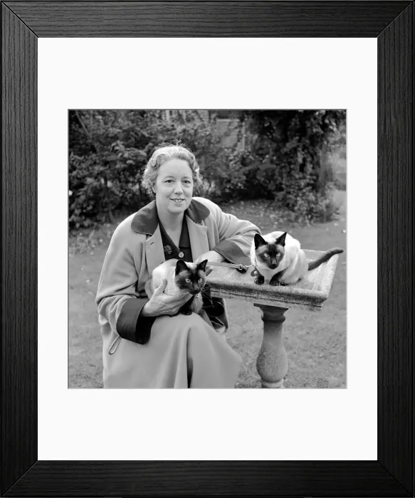 Framed Print : Siamese cats with their owners. 1954 A120-009 Framed Print : Siamese cats with their owners. 1954 A120-009