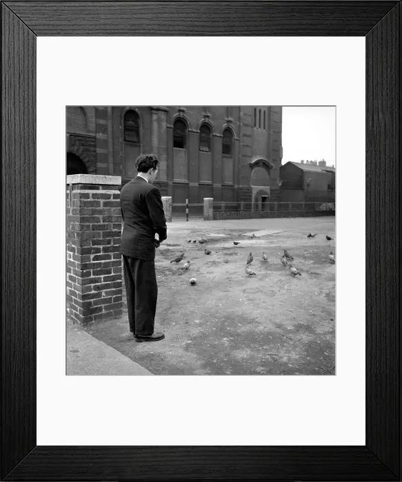Framed Print : London pigeon catcher. January 1954 A157-008 Framed Print : London pigeon catcher. January 1954 A157-008