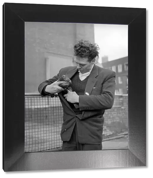 London pigeon catcher. January 1954 A157-001