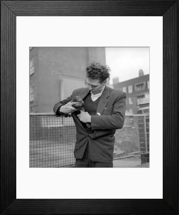 Framed Print : London pigeon catcher. January 1954 A157-001