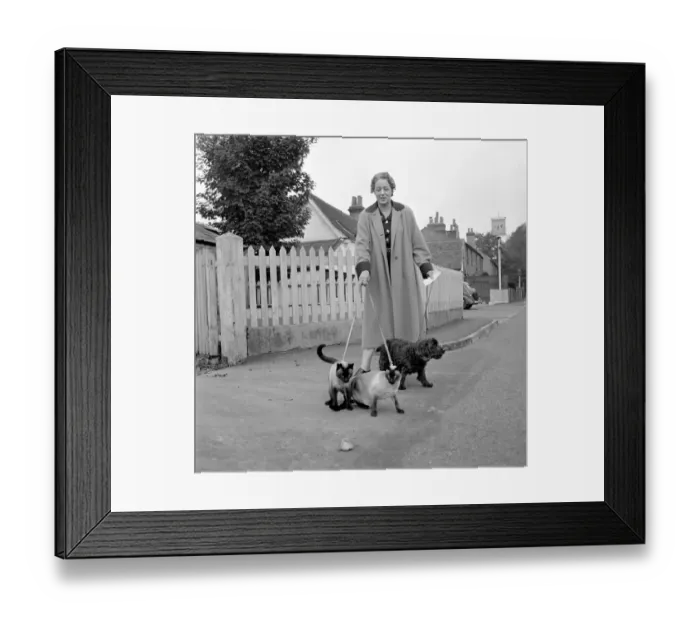 Framed Print : Siamese cats with their owners. 1954 A120-002