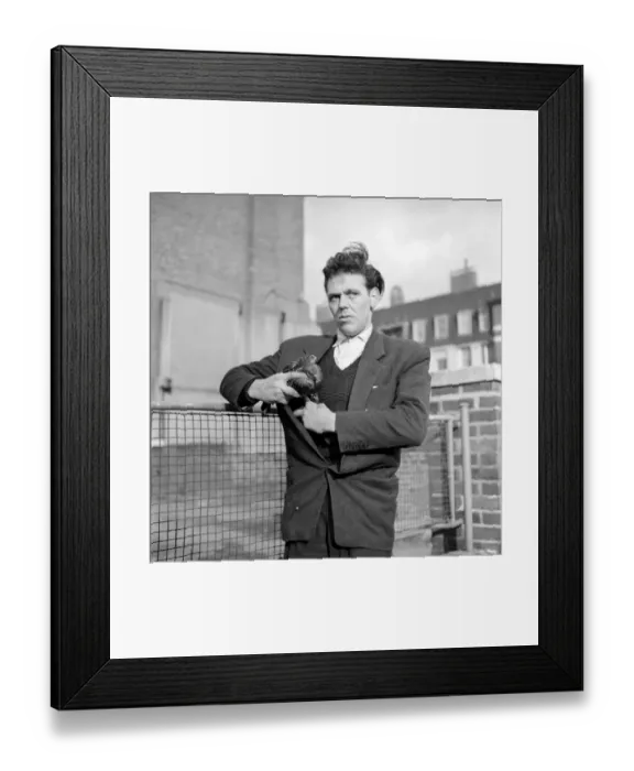 Framed Print : London pigeon catcher. January 1954 A157-005
