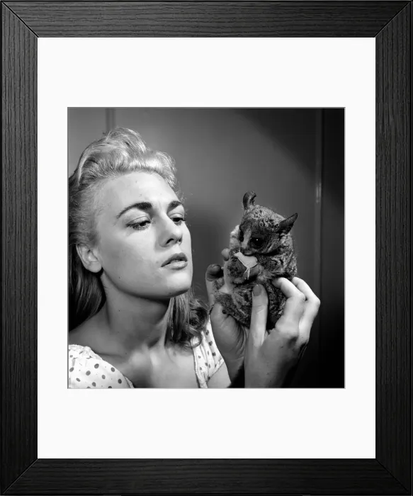Framed Print : Dorinda Stevens seen here with her pet Bush Baby. 1959 Framed Print : Dorinda Stevens seen here with her pet Bush Baby. 1959