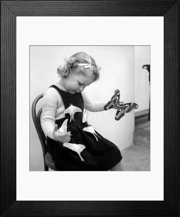 Framed Print : Moth girl: Miss Rivers seen here with moths. January 1957 A10-001