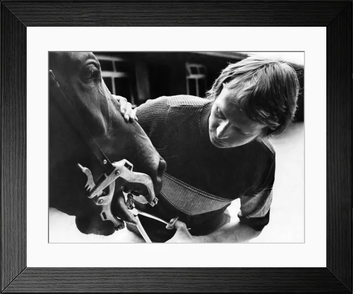 Framed Print : Horse dentist Gordon Holmes treating a patient at The Stables, Greystoke, near. Penrith Framed Print : Horse dentist Gordon Holmes treating a patient at The Stables, Greystoke, near. Penrith