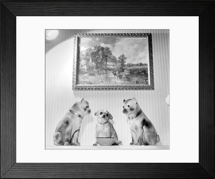 Framed Print : Neddy'pet dog of Mrs Taylor seen here intimidating two china dogs