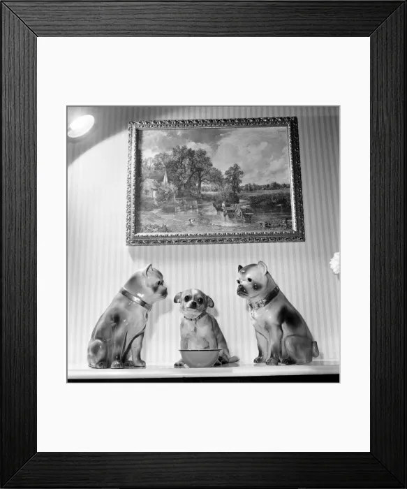 Framed Print : Neddy'pet dog of Mrs Taylor seen here intimidating two china dogs