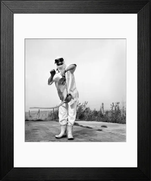 Framed Print : Radiation Testing: Monkeys are exposed to radiation at this U. K Framed Print : Radiation Testing: Monkeys are exposed to radiation at this U. K