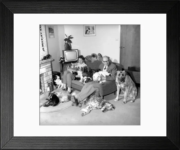 Framed Print : John Holmes seen here with his wife and surrounded by all his pets, which includes dogs