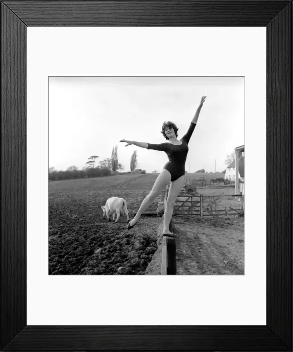 Framed Print : Dancing on the farm Ballerina Gillian Brodie seen here performing on fence posts Framed Print : Dancing on the farm Ballerina Gillian Brodie seen here performing on fence posts