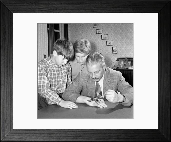 Framed Print : Spider collector Mr. S. Ormorod seen here showing the children two of his collection