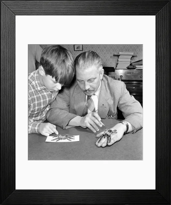 Framed Print : Spider collector Mr. S. Ormorod seen here showing the children two of his collection Framed Print : Spider collector Mr. S. Ormorod seen here showing the children two of his collection