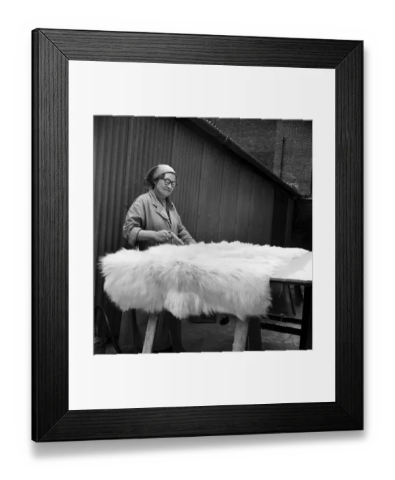 Framed Print : Taxidermist Workshop. January 1960 A715-022 Framed Print : Taxidermist Workshop. January 1960 A715-022