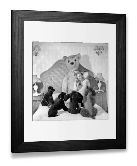 Framed Print : Actress Yana seen here with her pet poodles and a giant teddy bear. March 1959 A773-003