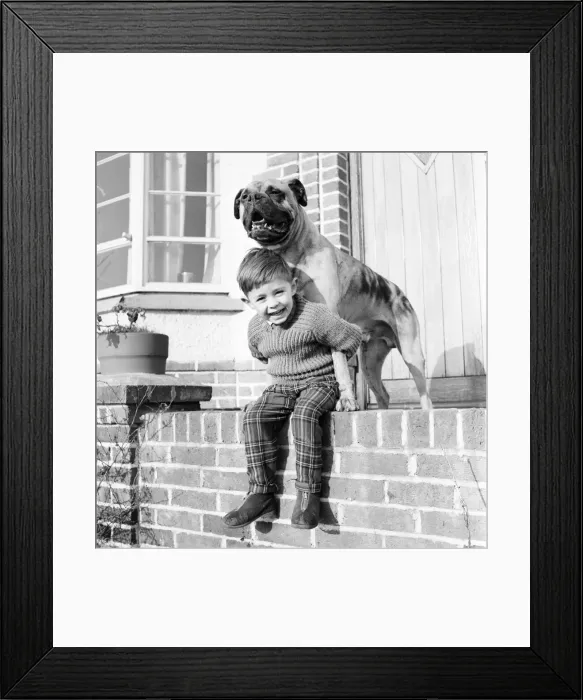 Framed Print : A boy and his best friend. Peter Hallett aged 4 seen here playing cowboys Framed Print : A boy and his best friend. Peter Hallett aged 4 seen here playing cowboys