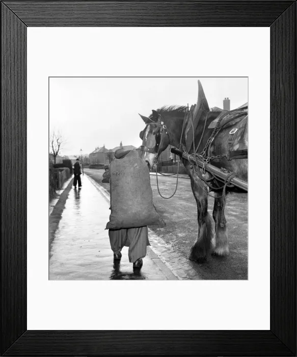 Framed Print : Coalman delivering coal. May 1958 A687-004 Framed Print : Coalman delivering coal. May 1958 A687-004