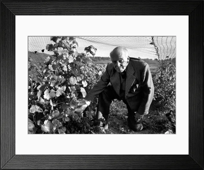 Framed Print : General Sir Guy Salisbury Jones has been producing wine from his own vineyards