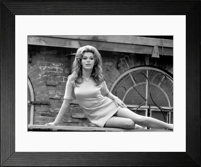 Framed Print : 24 year old Mariana Hill, 5 4'tall, dark brown eyes, and long light brown hair Framed Print : 24 year old Mariana Hill, 5 4'tall, dark brown eyes, and long light brown hair