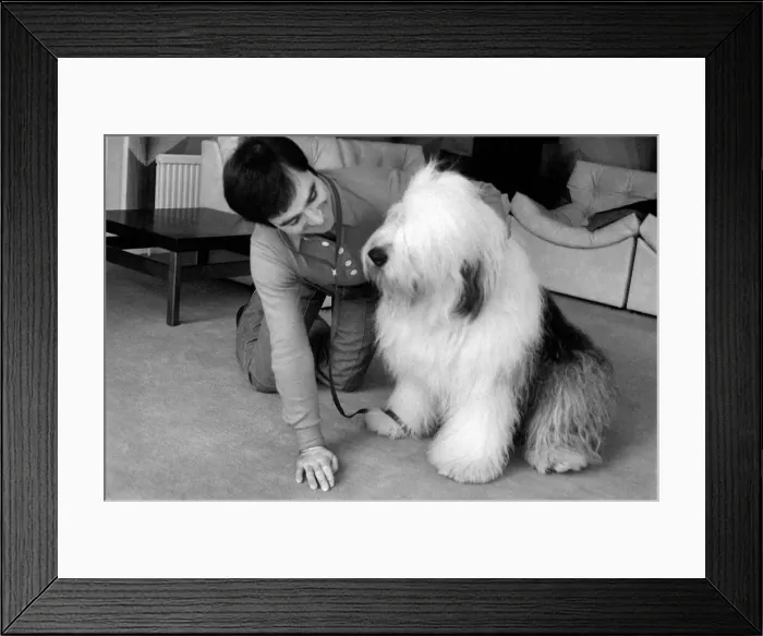 Framed Print : Peter Shelley and Dog. March 1975 75-01635-007 Framed Print : Peter Shelley and Dog. March 1975 75-01635-007
