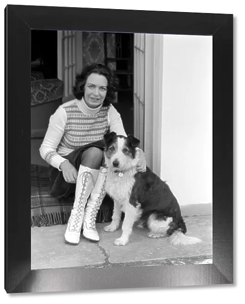 Collie  /  Dog  /  Animal  /  Cute. Alexander the Great. March 1975 75-01356-001