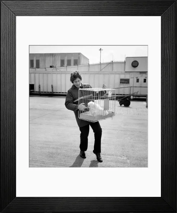 Framed Print : Christine Onassis flew into Heathrow Airport today - first class Framed Print : Christine Onassis flew into Heathrow Airport today - first class