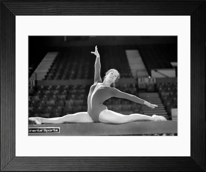 Framed Print : Women Gymnasts: Women gymnasts from all over the world will be competing in the Champions Framed Print : Women Gymnasts: Women gymnasts from all over the world will be competing in the Champions