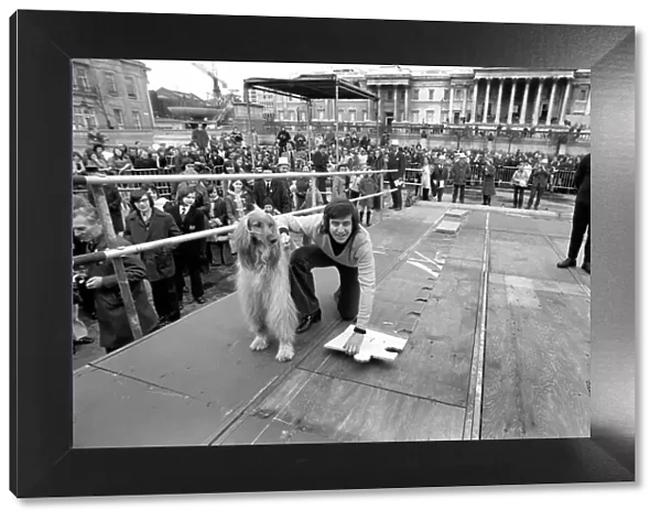 The NCH giant jig saw campaign in Trafalgar Square, Disc jockey Ed Stewart placed part of