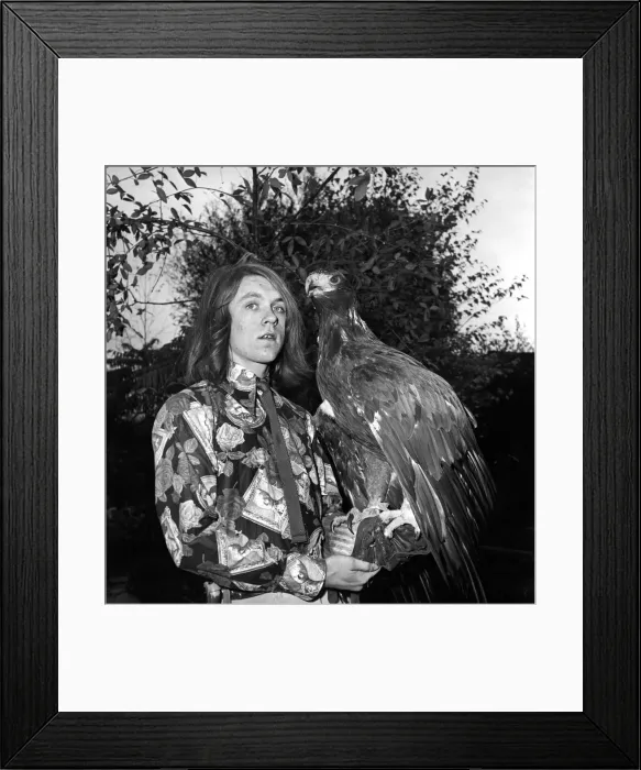 Framed Print : David Fox seen here taking his pet Golden Eagle for a walk around the local neighbourhood Framed Print : David Fox seen here taking his pet Golden Eagle for a walk around the local neighbourhood