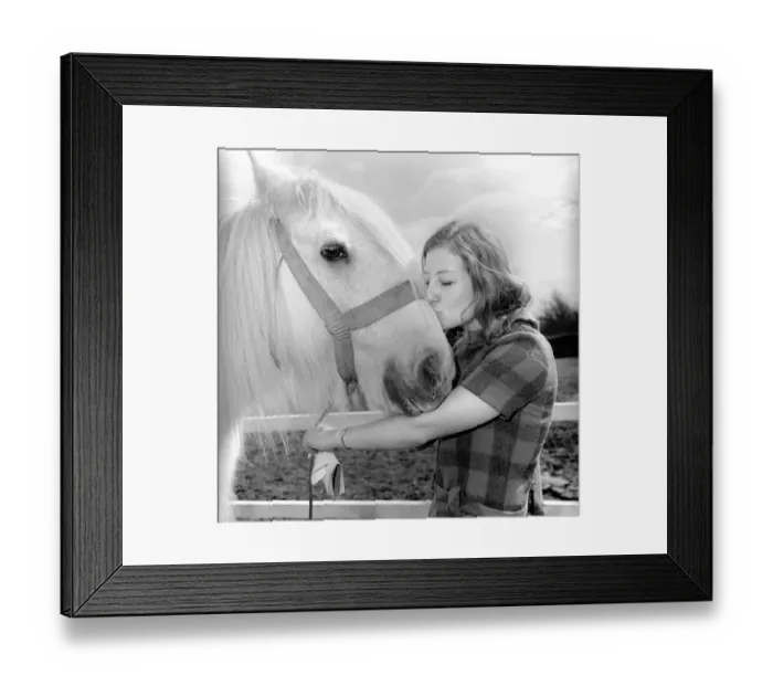 Framed Print : Oldest horse in England seen here being kissed on the nose by a woman. 1962 C116A