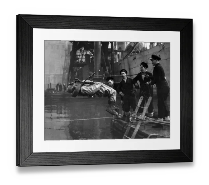 Framed Print : Human Minesweepers who cleared the harbours of Europe from Charburg to Bremen began Framed Print : Human Minesweepers who cleared the harbours of Europe from Charburg to Bremen began