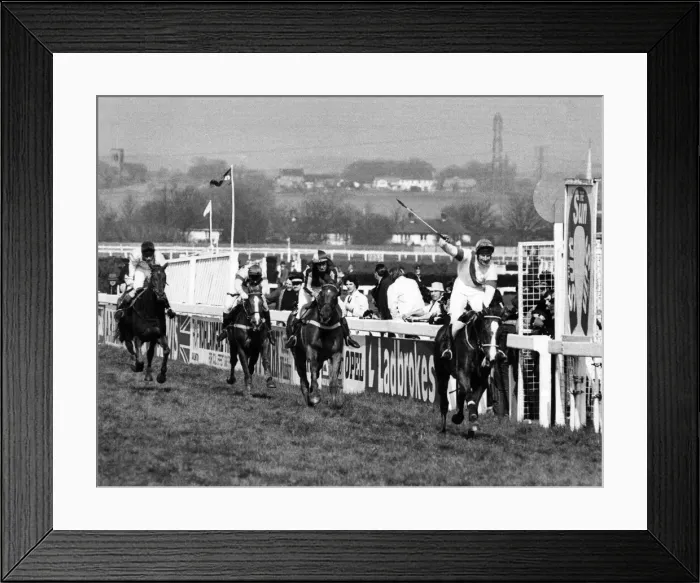 Framed Print : Action from the Grand National. Bob Champion celebrates as he crosses the line