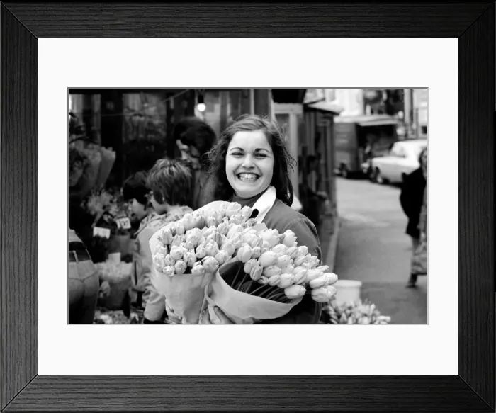 Framed Print : A young girl of Amsterdam holding bunches of tulips during the season May 1975 Framed Print : A young girl of Amsterdam holding bunches of tulips during the season May 1975