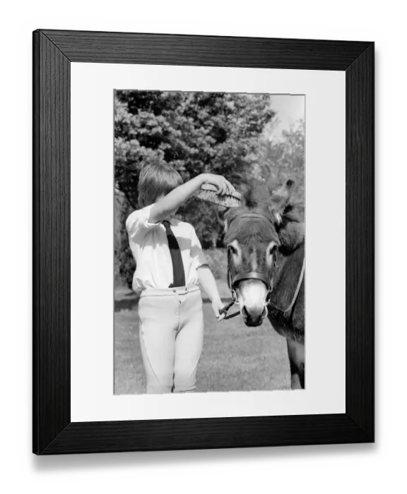 Framed Print : Nine year old girl with donkey at the Donkey racing championships May 1975 Framed Print : Nine year old girl with donkey at the Donkey racing championships May 1975