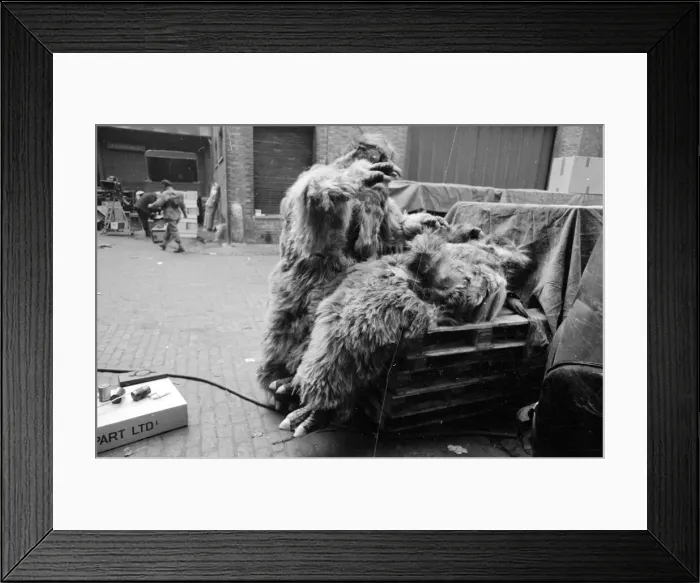 Framed Print : The Yeti Mark two - seven foot tall monsters with light eyes, electrical nervous system Framed Print : The Yeti Mark two - seven foot tall monsters with light eyes, electrical nervous system