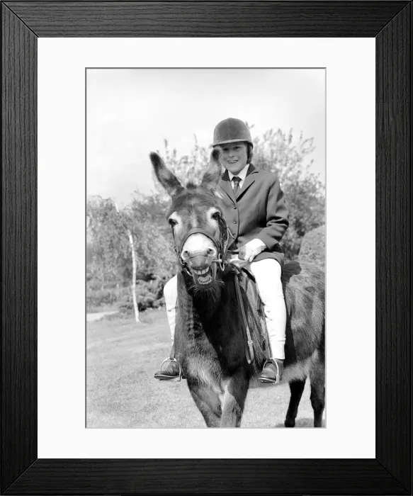Framed Print : Nine year old girl on her donkey at the Donkey racing championships May 1975