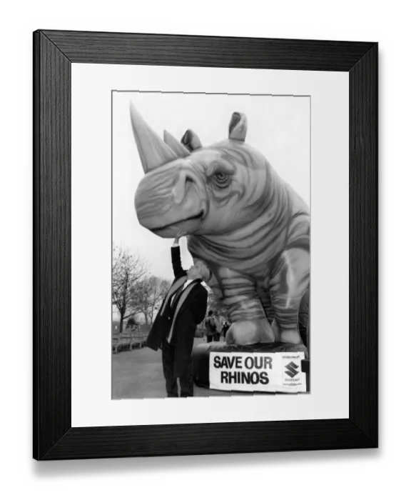 Framed Print : Adams Ricklish Rhino Date. Animal lover Adam Faith had a strange itch to tickle a Framed Print : Adams Ricklish Rhino Date. Animal lover Adam Faith had a strange itch to tickle a