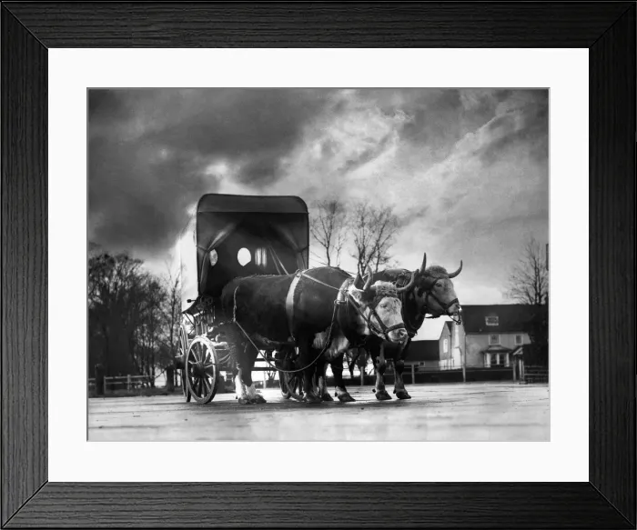 Framed Print : A scene on the Arterial Road to Southhend. The Atora'. December 1934 P000685 Framed Print : A scene on the Arterial Road to Southhend. The Atora'. December 1934 P000685