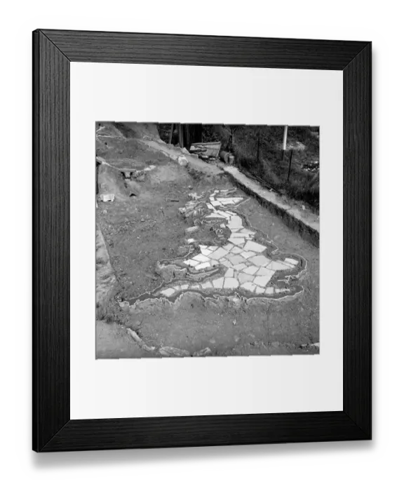 Framed Print : Unusal Gardens: Mr. P. C. Joyce who has created a map of Great Britain in his garden Framed Print : Unusal Gardens: Mr. P. C. Joyce who has created a map of Great Britain in his garden
